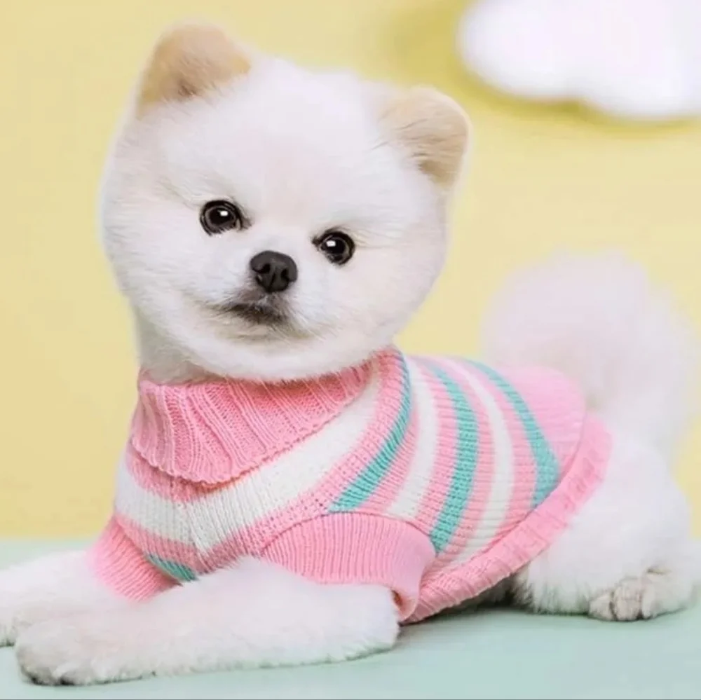 New Dog Sweater Pink And Blue Small